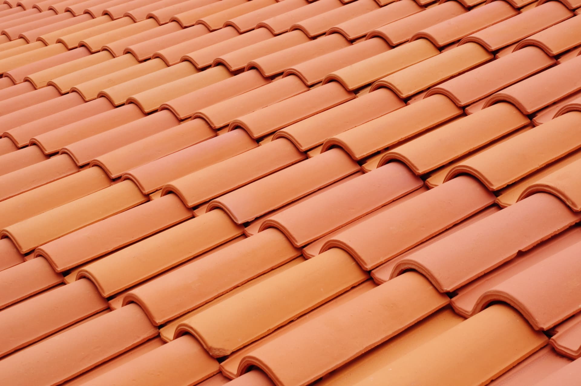 Close view of terracotta roof tiles