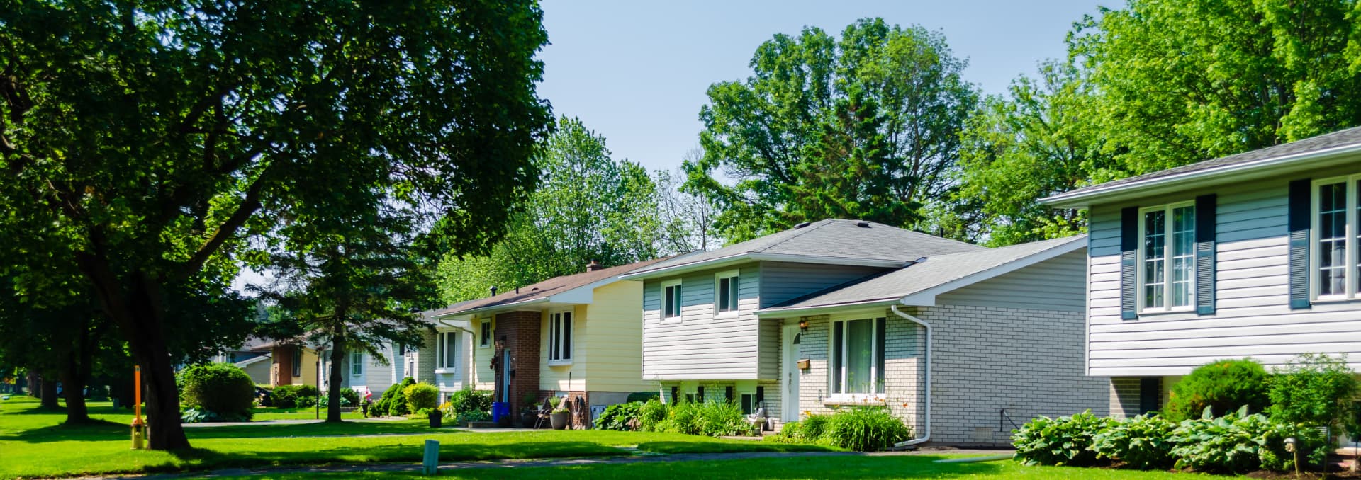 Residential street of established single-family homes