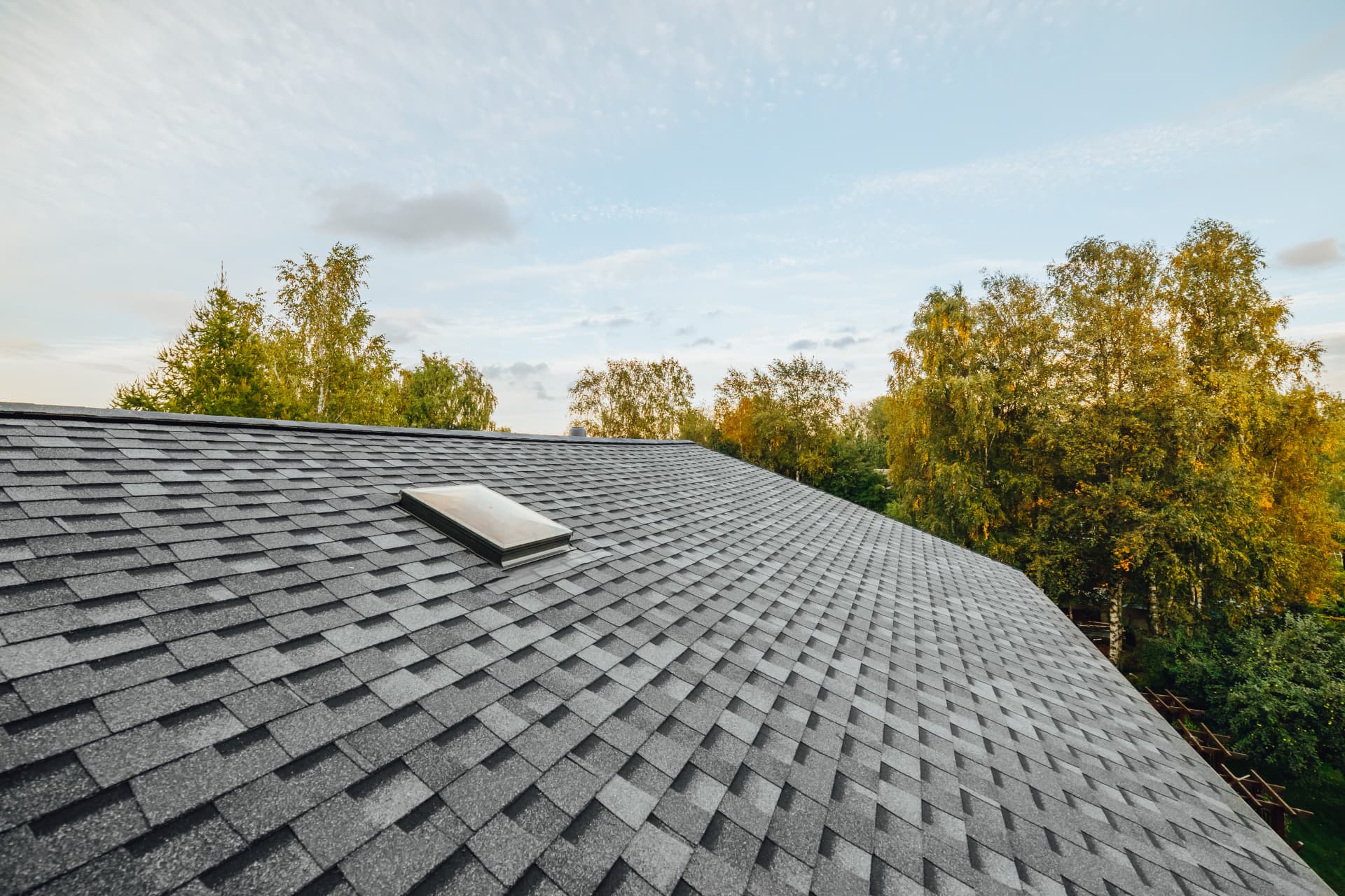 Shingled roof with a skylight surrounded by trees