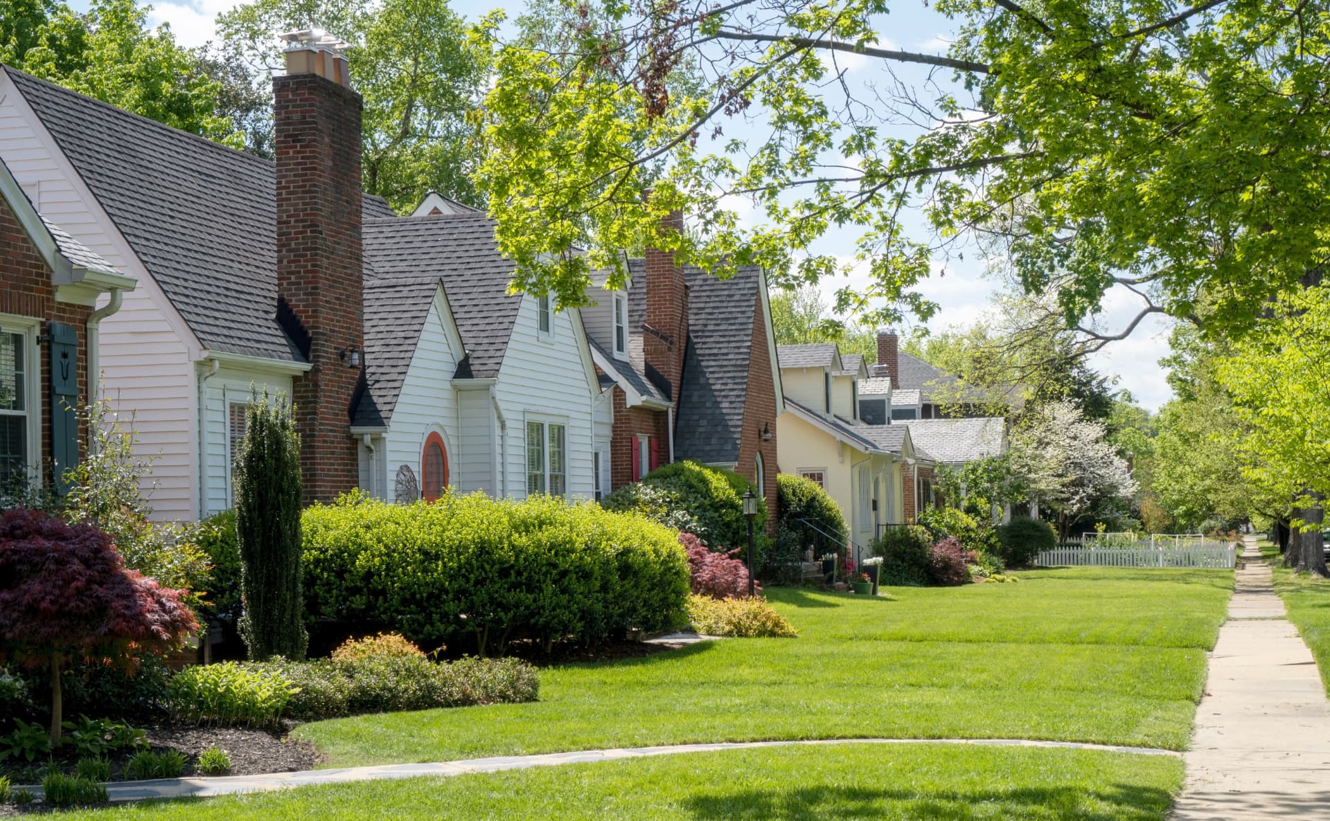Residential street lined with established homes